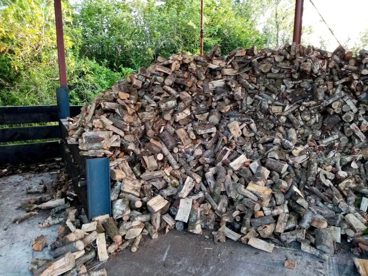 Firewood - Image 2