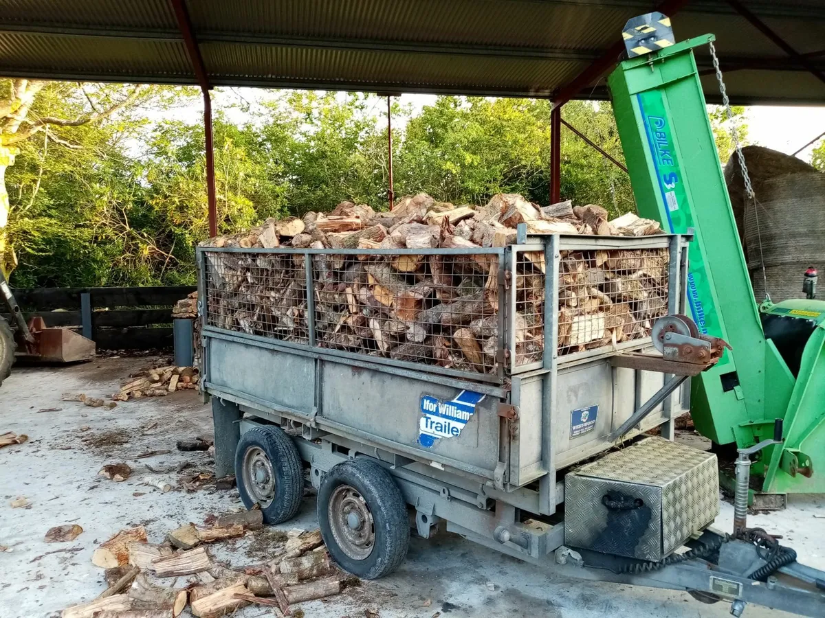 Firewood - Image 4