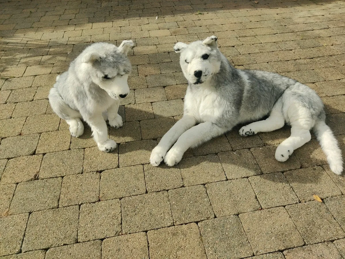 Large Realistic Husky Ornaments – Set of 2 - Image 1