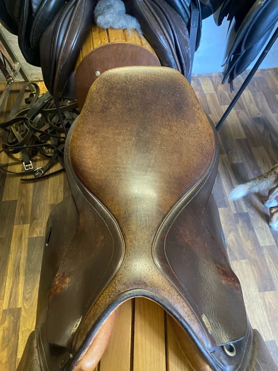 Dever 17” brown Leather jumping saddle - Image 4