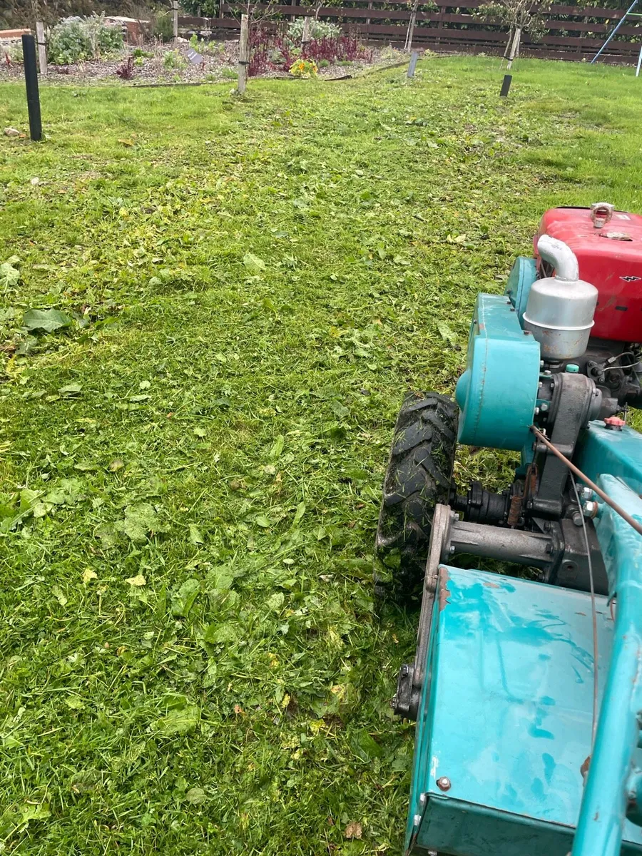 Garden rotovator - Image 4