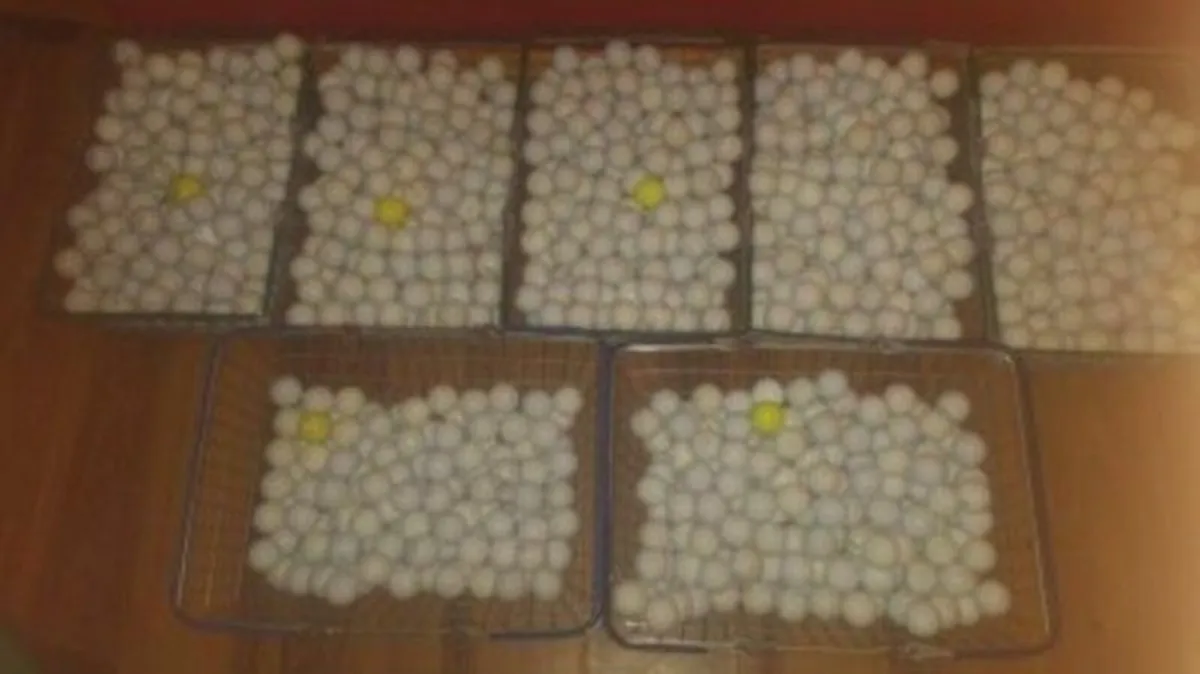 JJ'S CORK GOLF BALLS - BEST BRANDS - Image 2