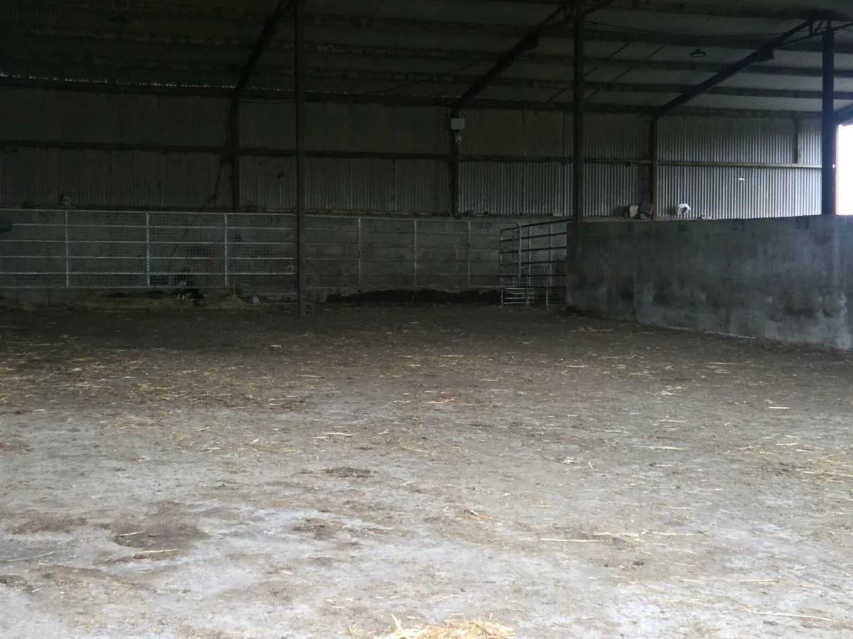 Shed to rent - Image 2