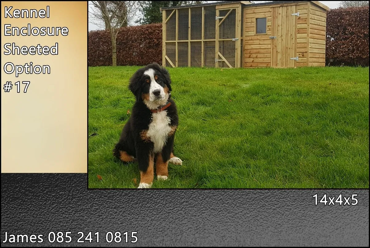 Dog Kennel & Enclosure - Image 3