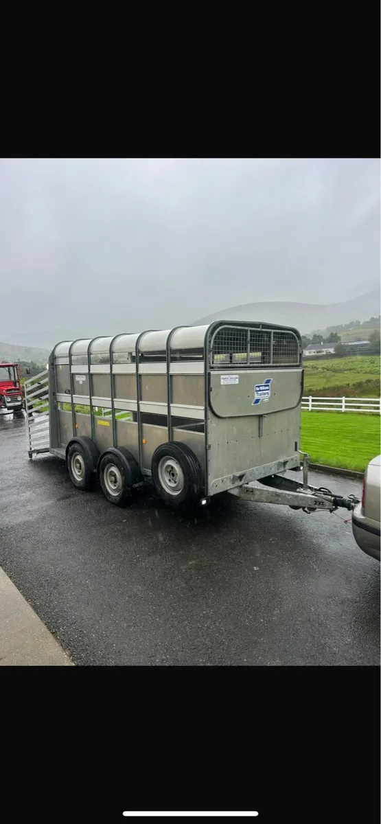 Ifor Williams cattle trailer - Image 2
