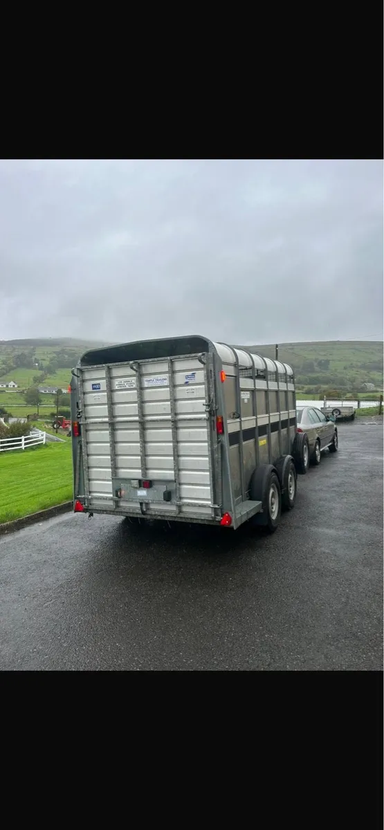 Ifor Williams cattle trailer - Image 4