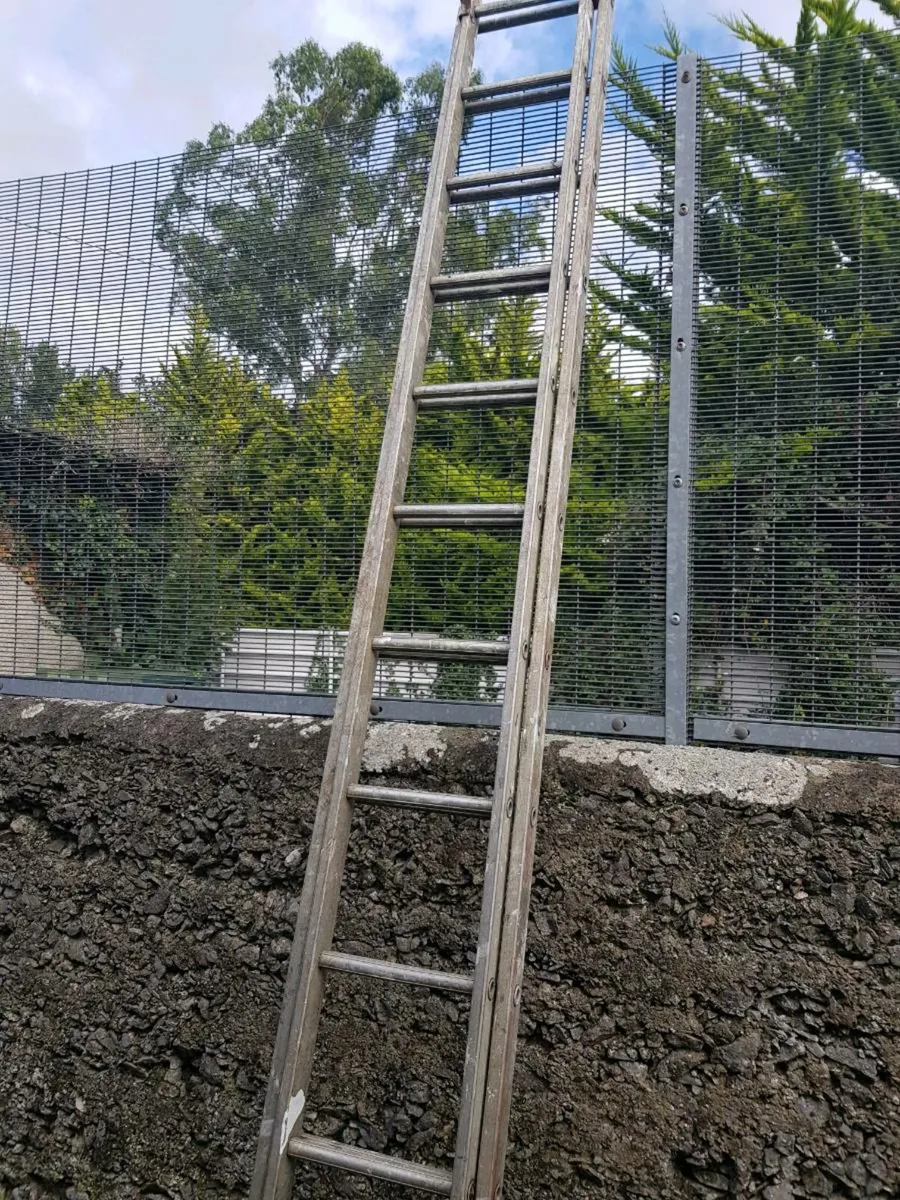 20ft extendable ladder - Image 1