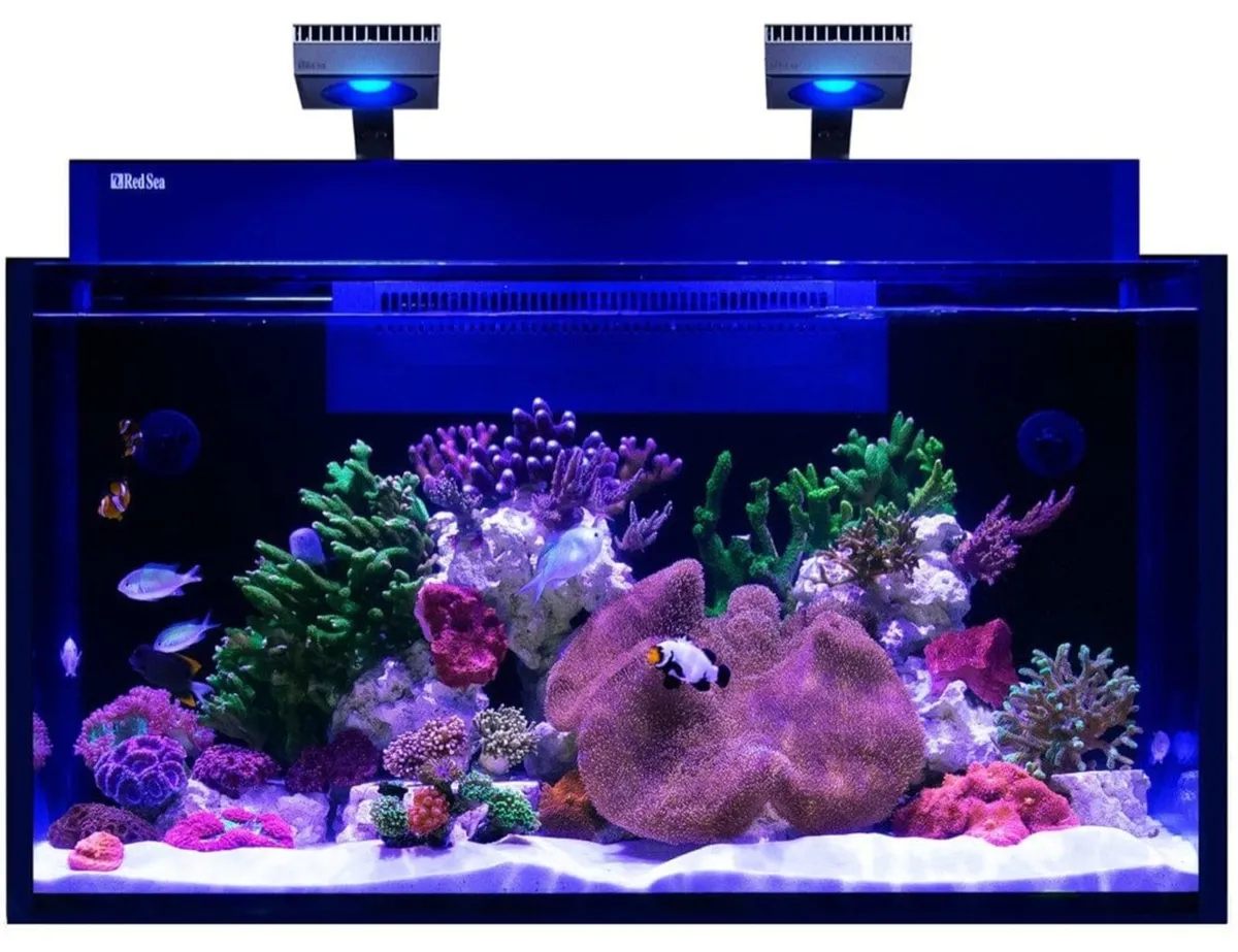 Red Sea G2 XXL Marine Tank - Image 3