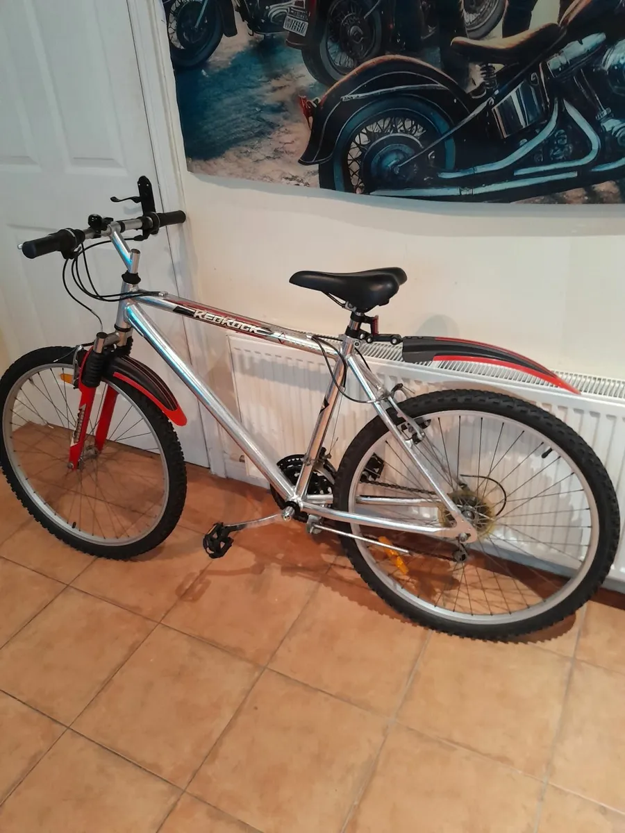 Bicycle - Image 1