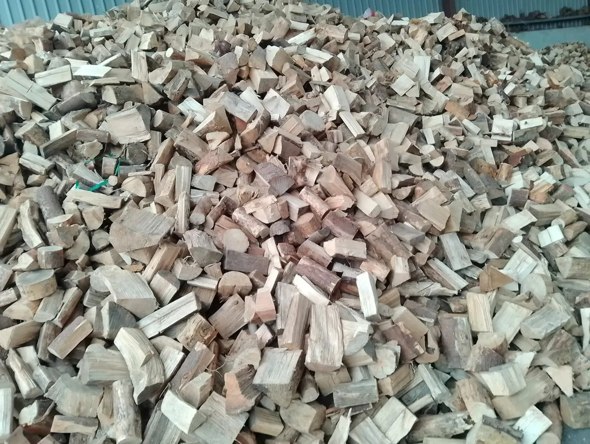 Firewood kiln dried or seasoned firewood loose - Image 2
