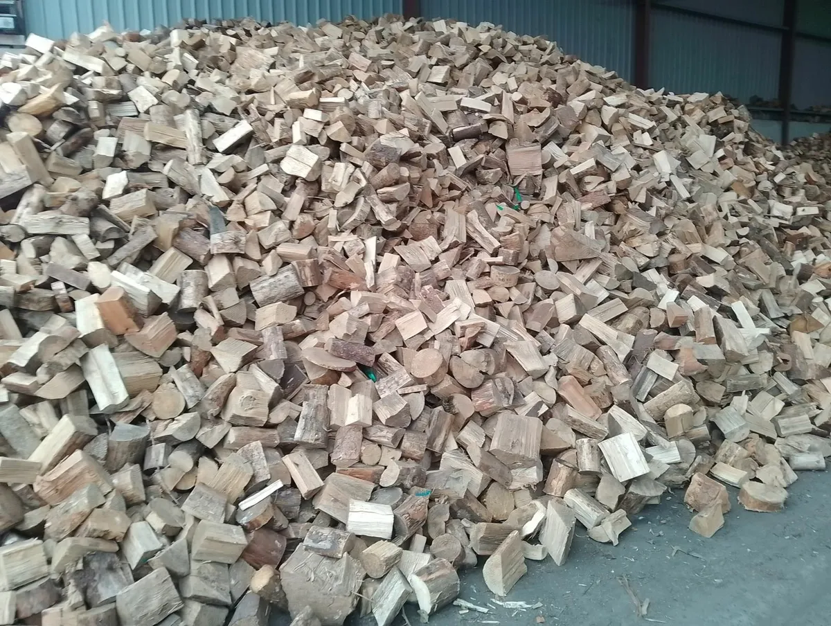 Firewood kiln dried or seasoned firewood loose - Image 3