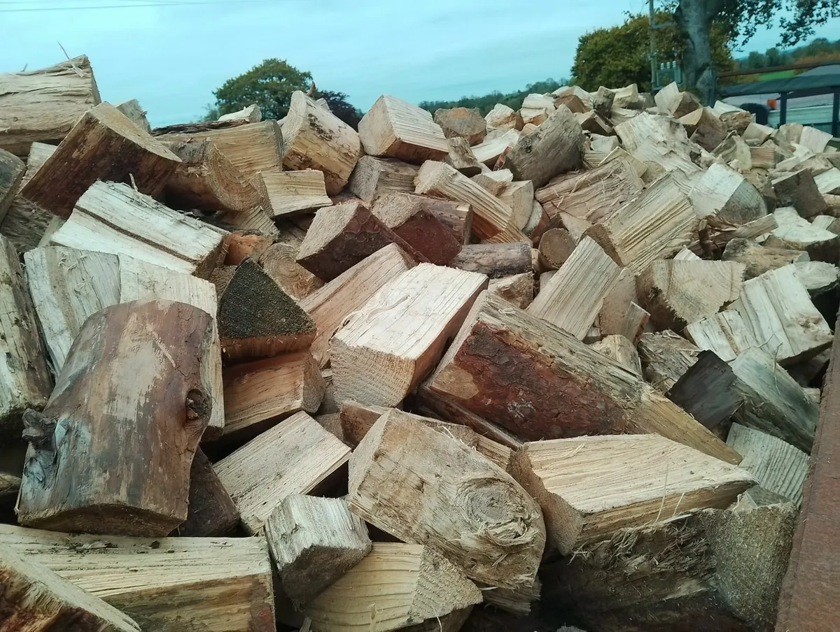 Firewood kiln dried or seasoned firewood loose - Image 4