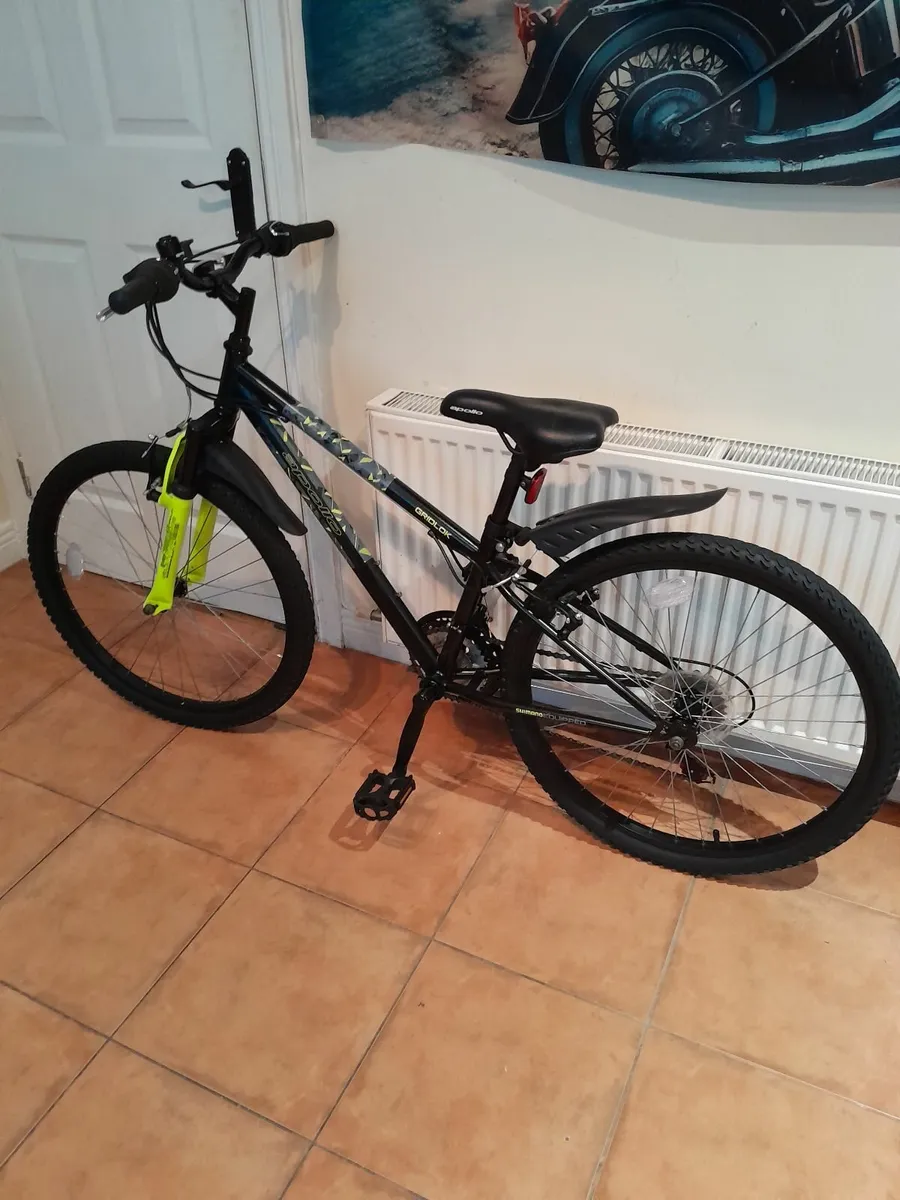 Bicycle - Image 1