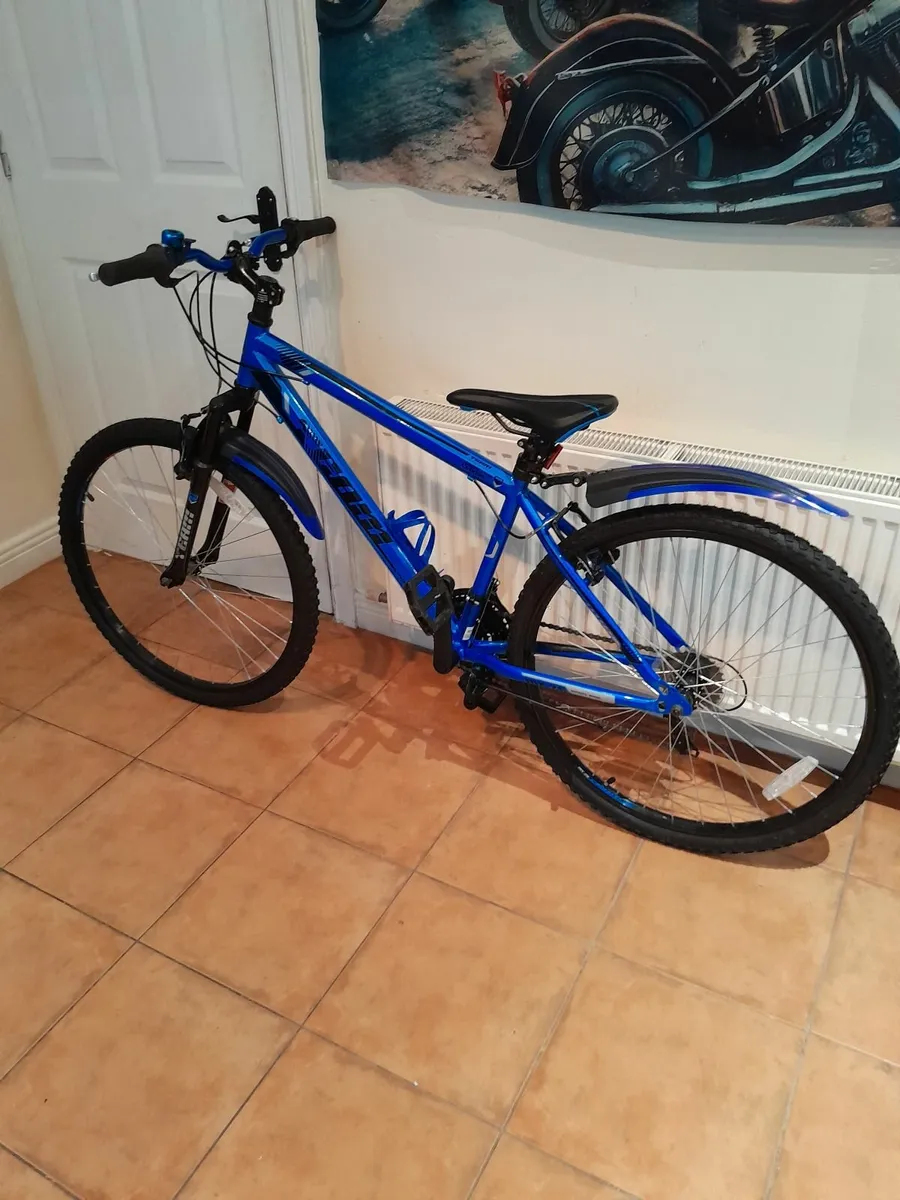 Bicycle - Image 1