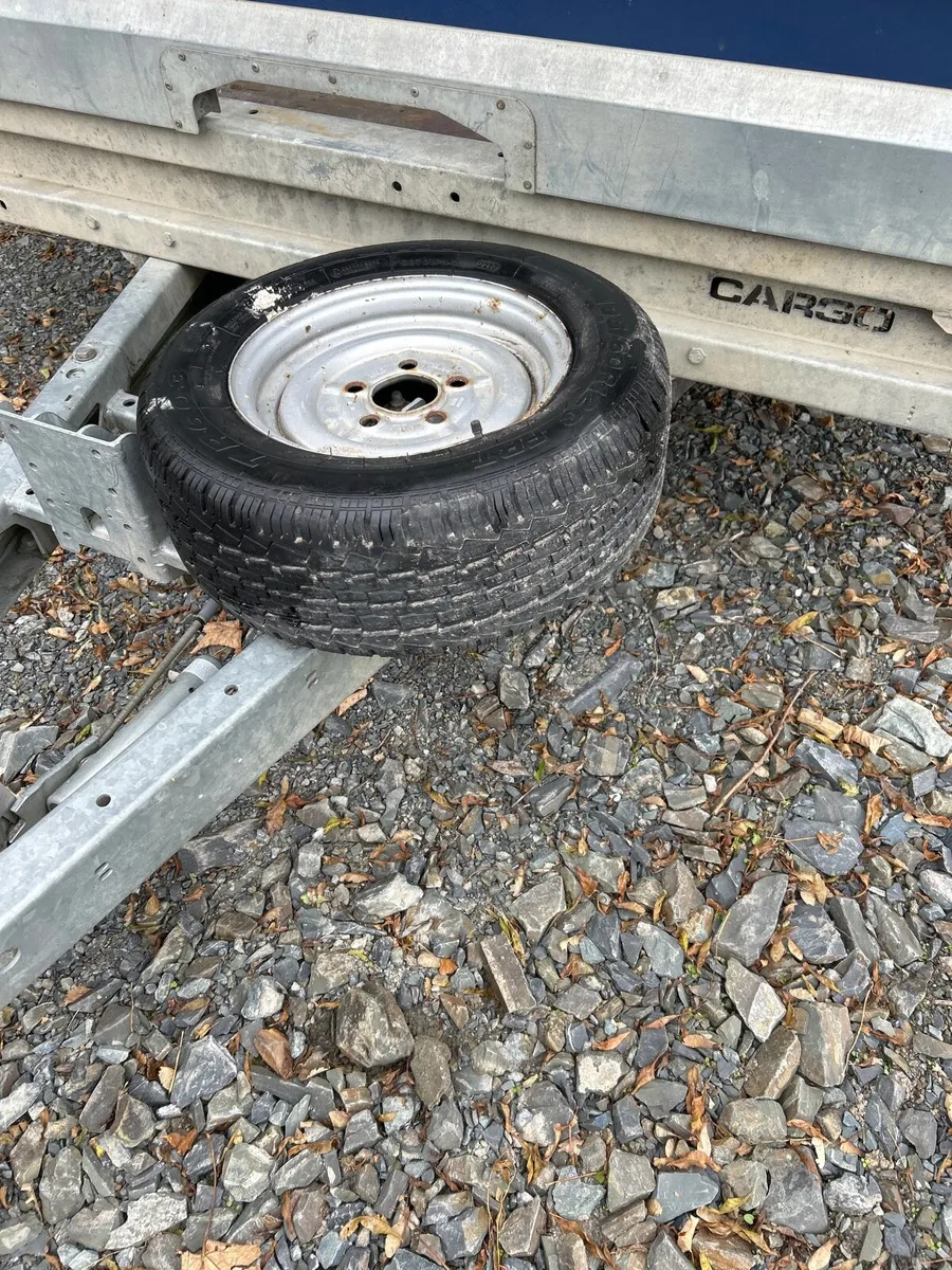 14 x6”6 ft Brian James cargo car/ plant trailer - Image 3