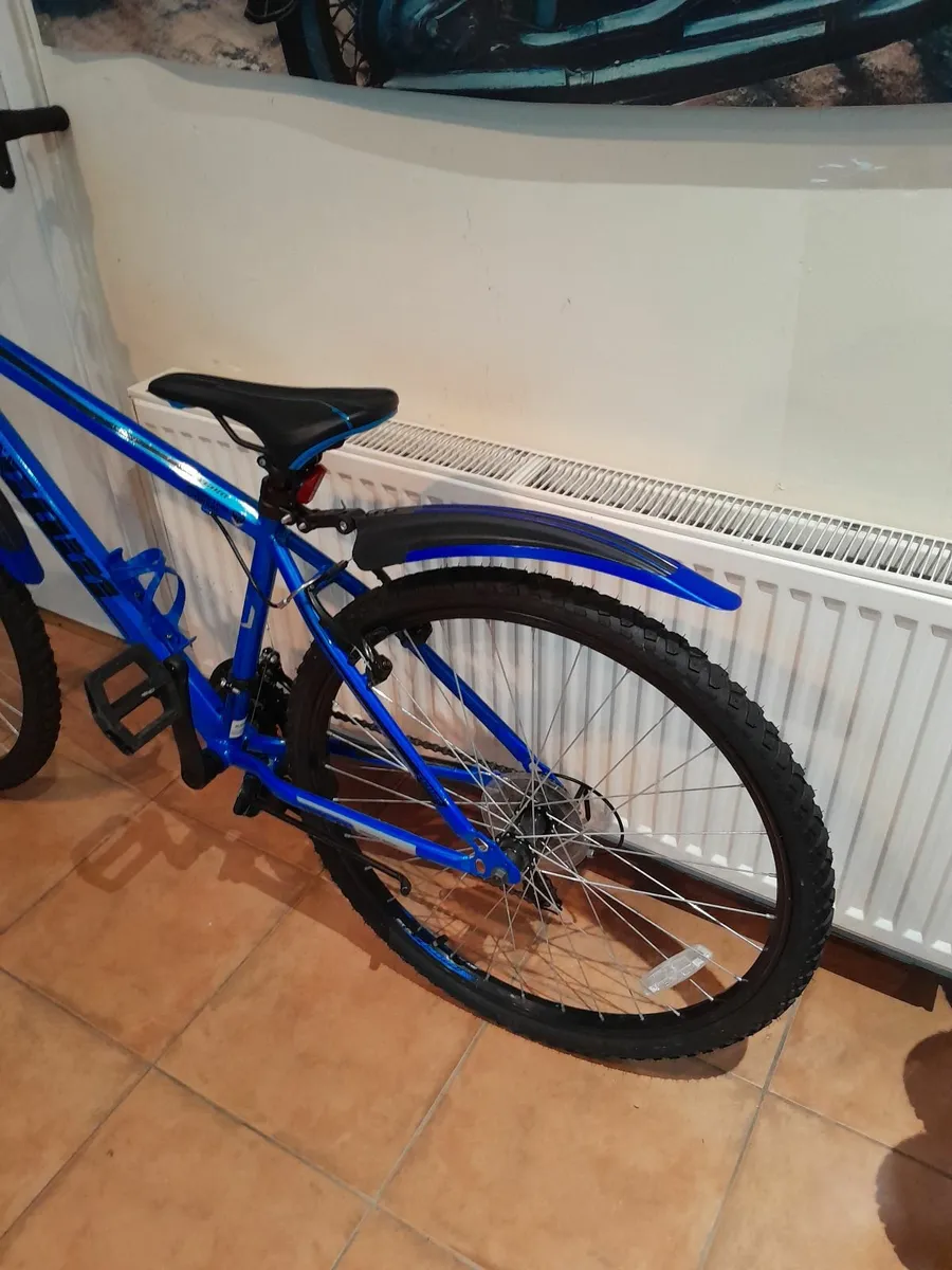 Bicycle - Image 4