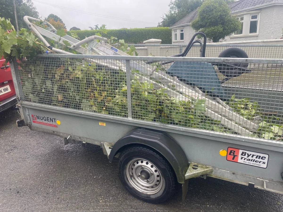 Hedge cutting - Image 2
