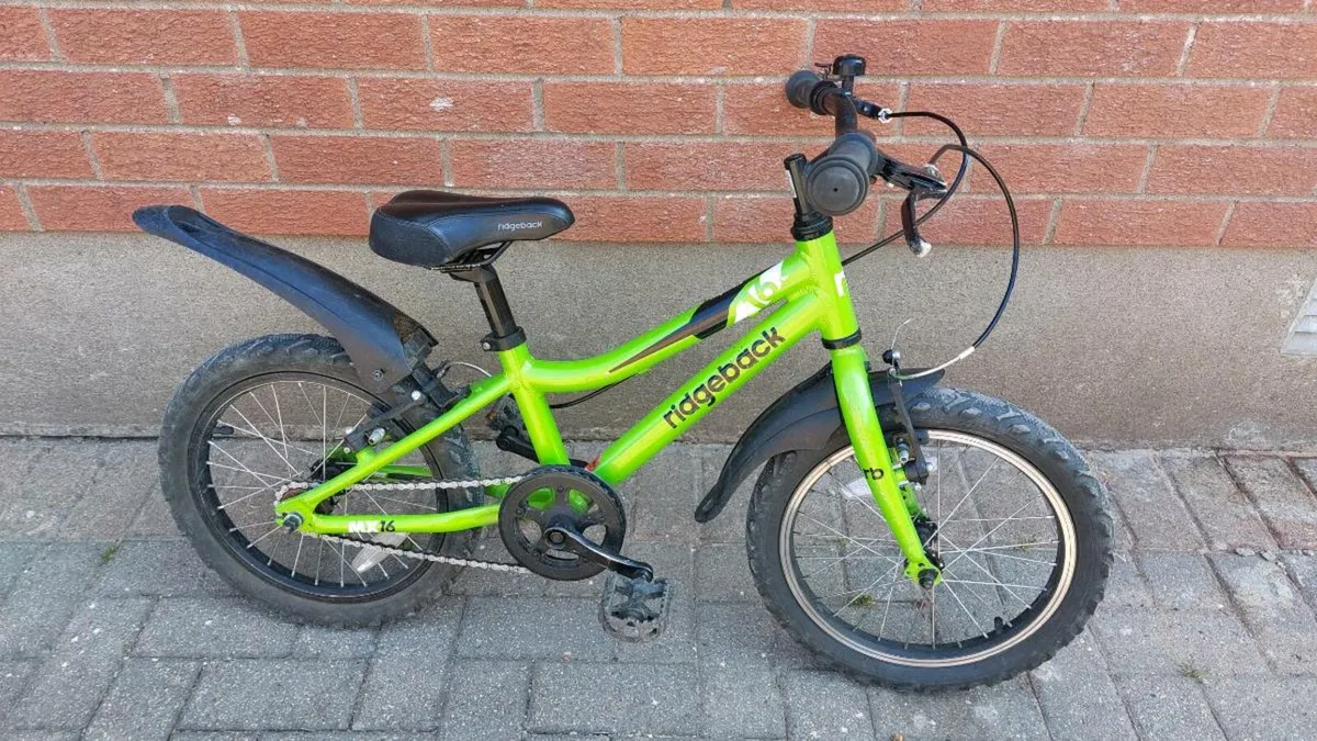 Ridgeback 16