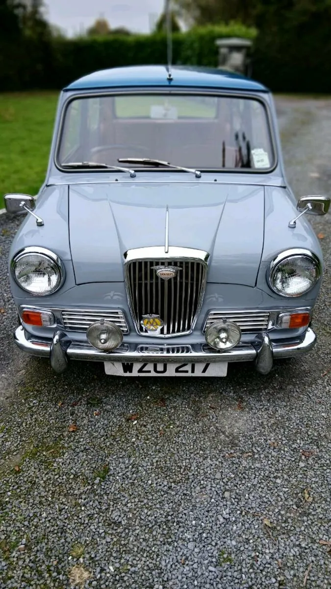 Wolsley hornet - Image 3