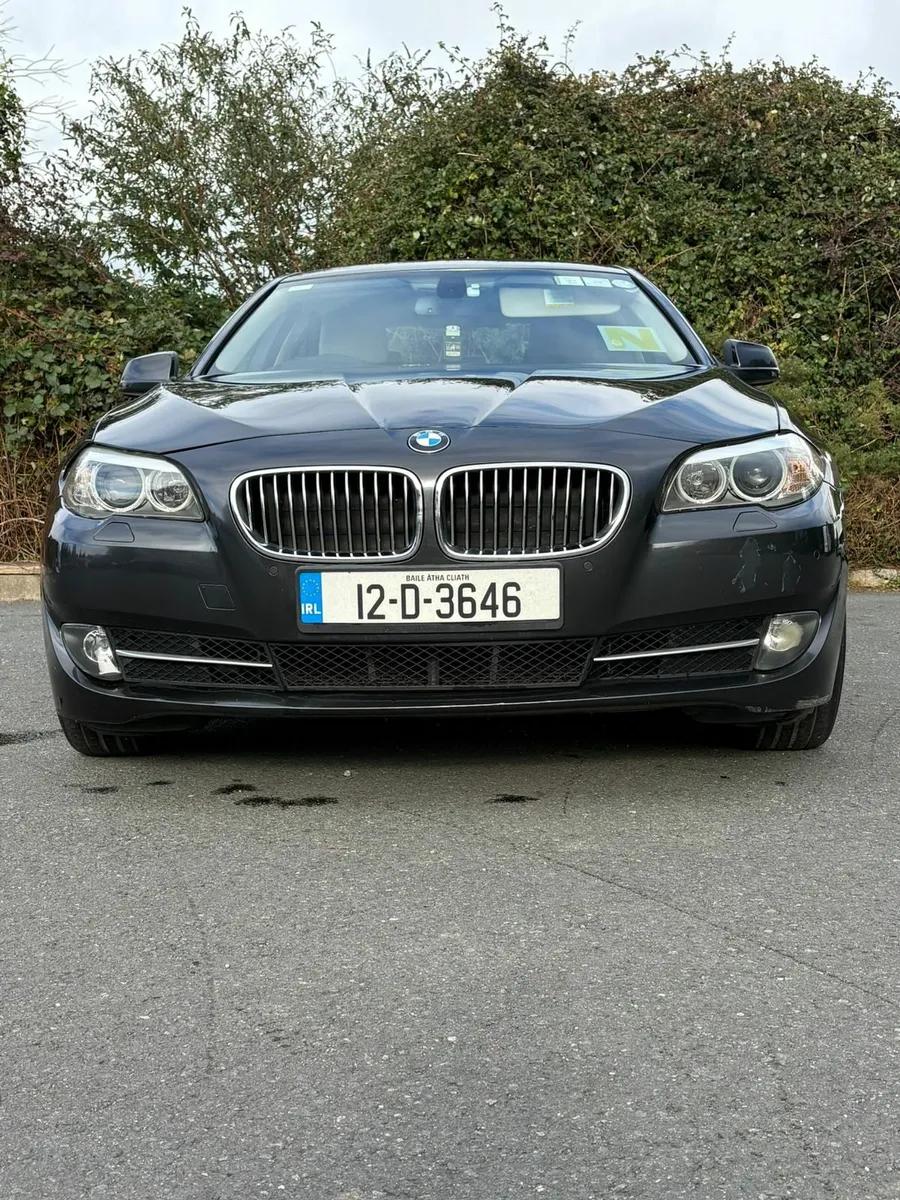 BMW 520 SE - Image 2