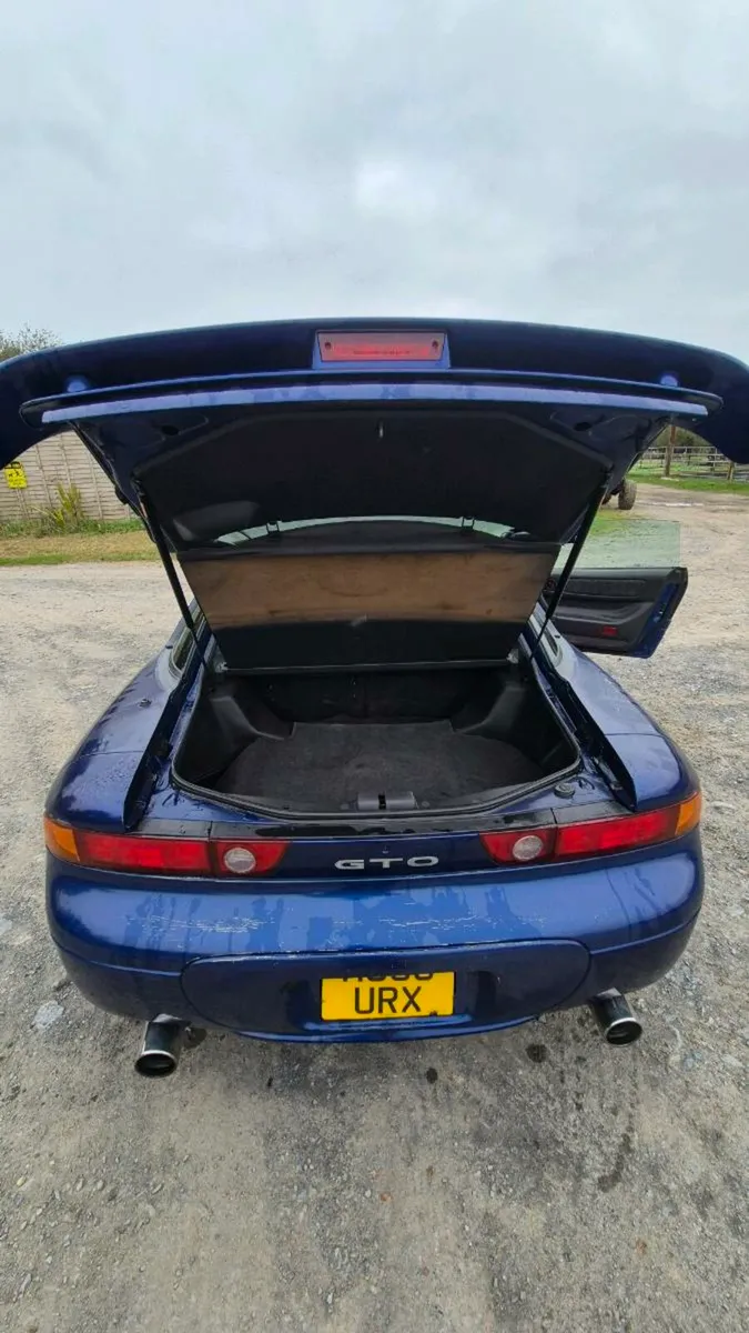 GTO - Image 4