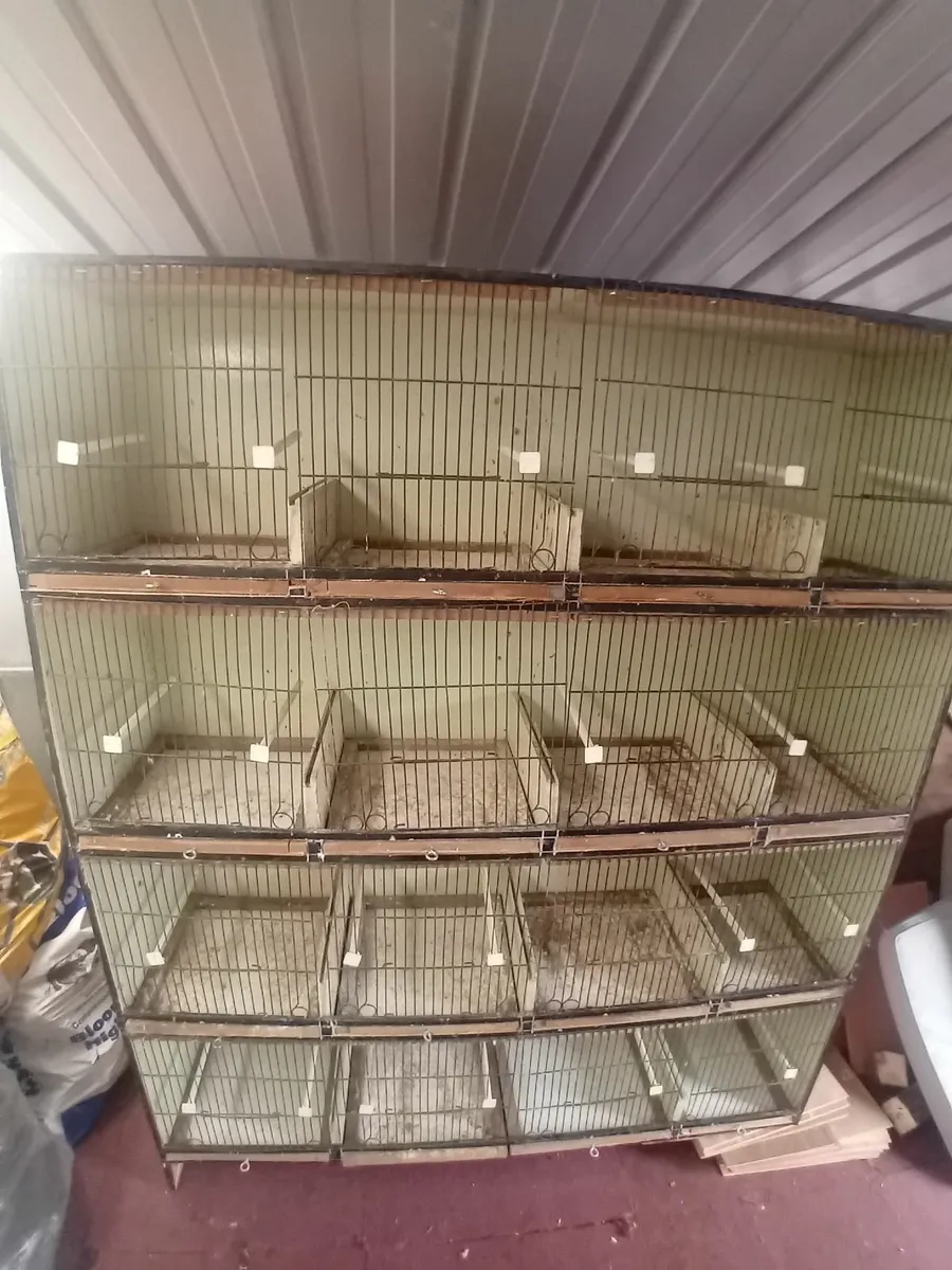 Bird cage