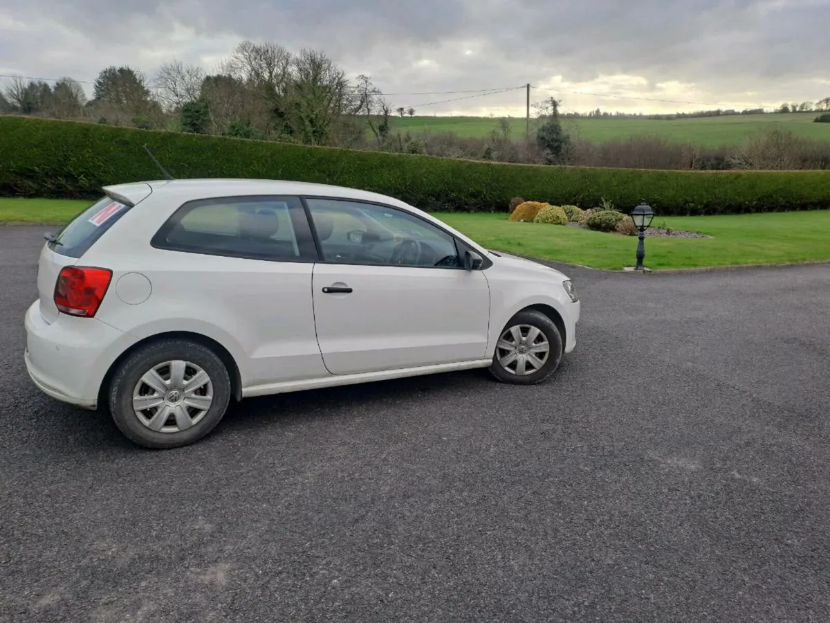 polo - Image 4