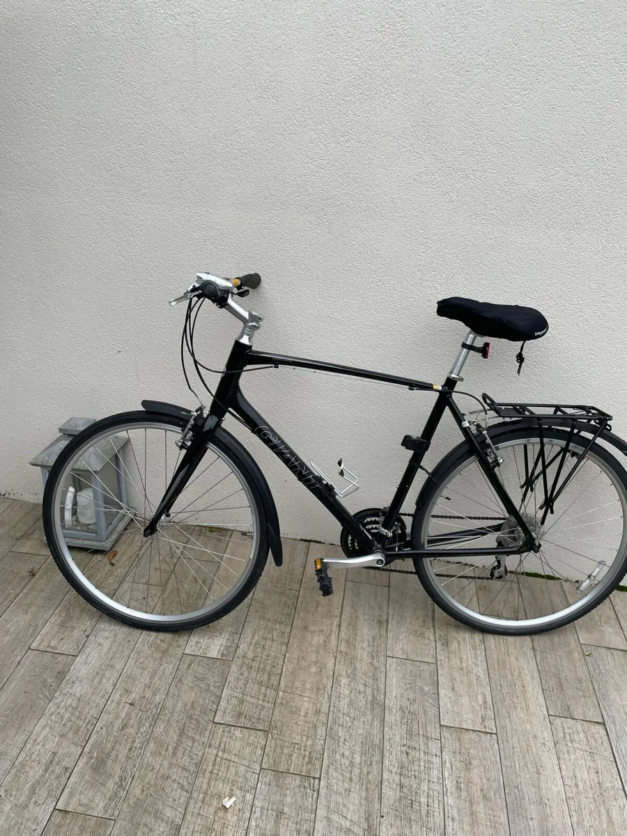 Giant hybrid bike