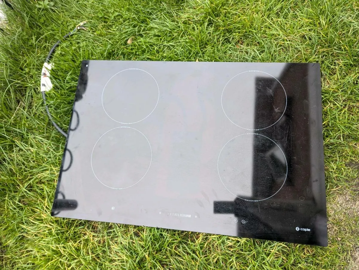Electric cooker - Image 1
