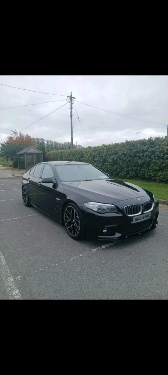 Mint 520d Msport - Image 1