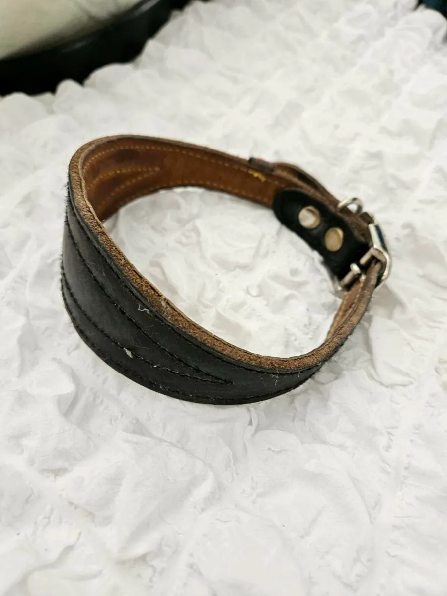 Greyhound collar - Image 1