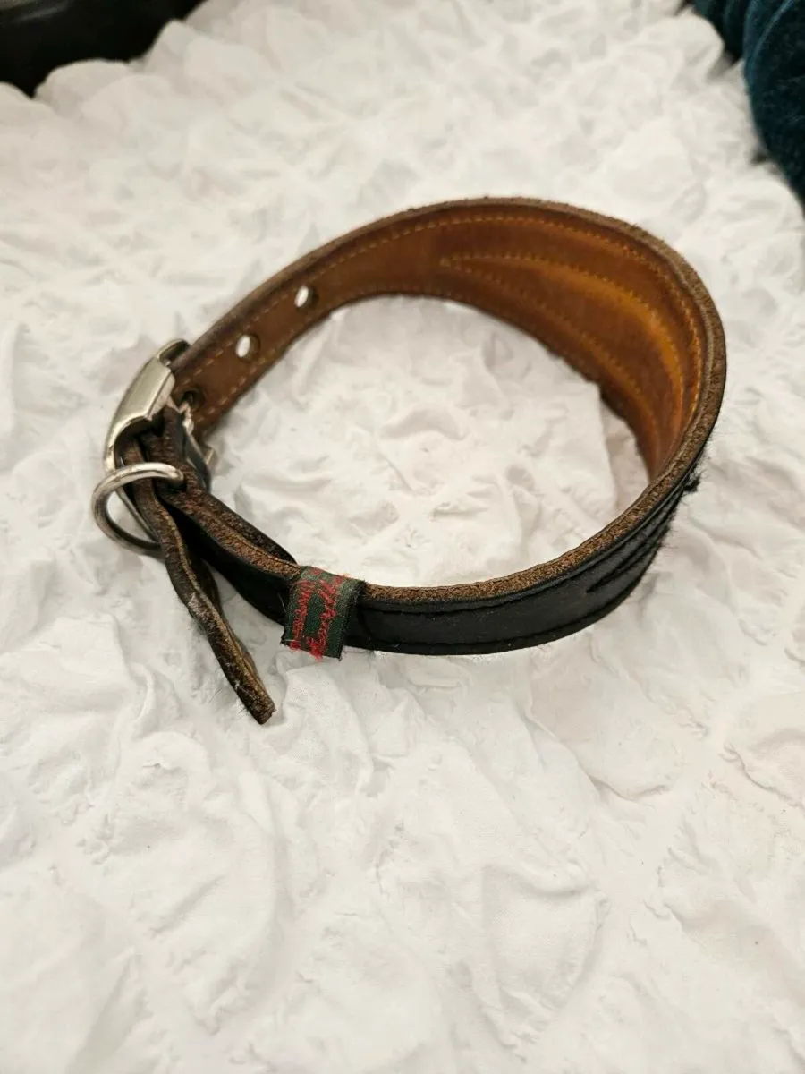 Greyhound collar - Image 2
