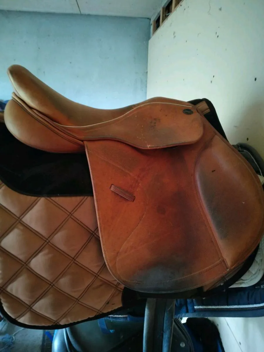 Saddle - Image 1