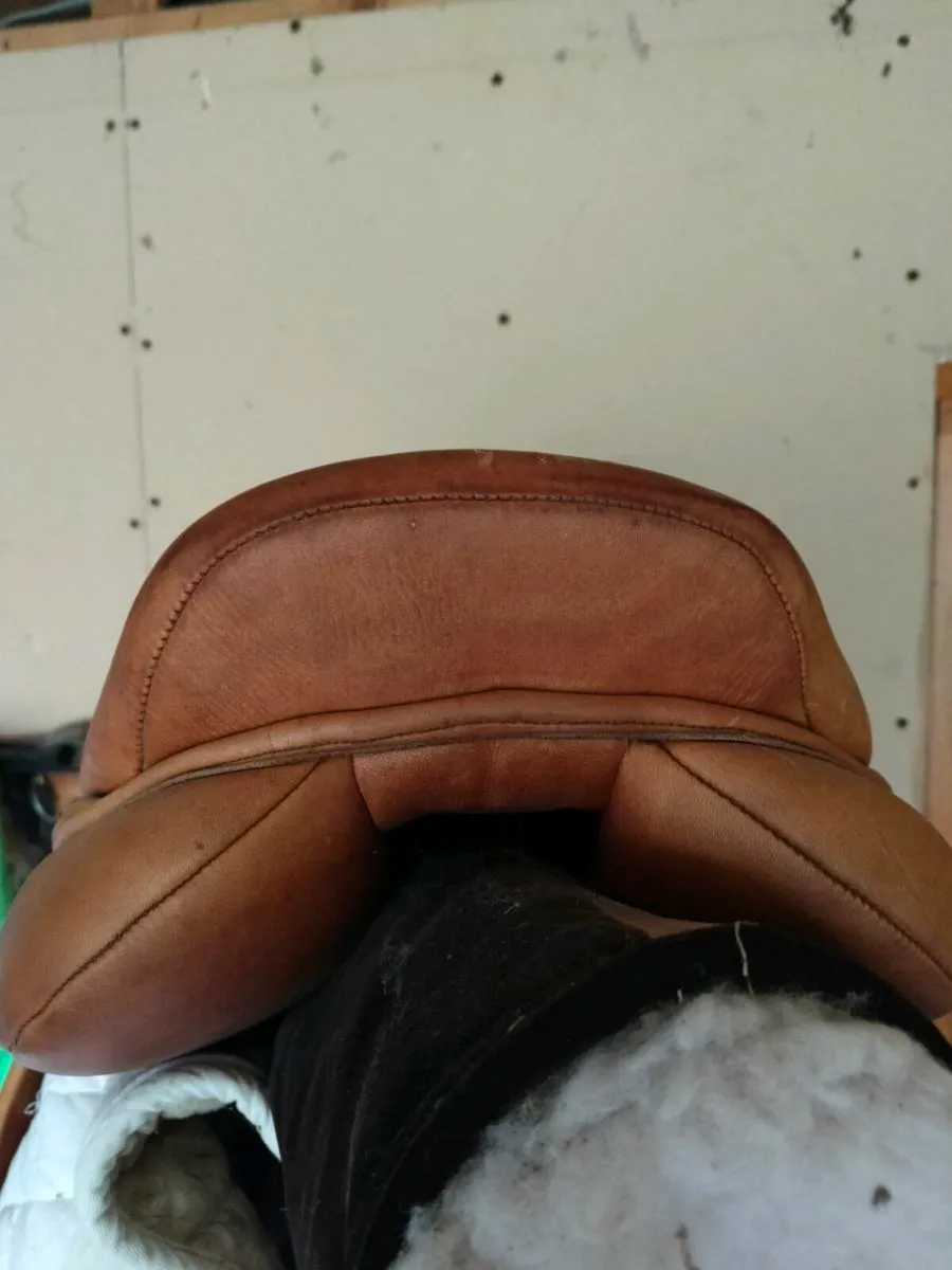 Saddle - Image 2