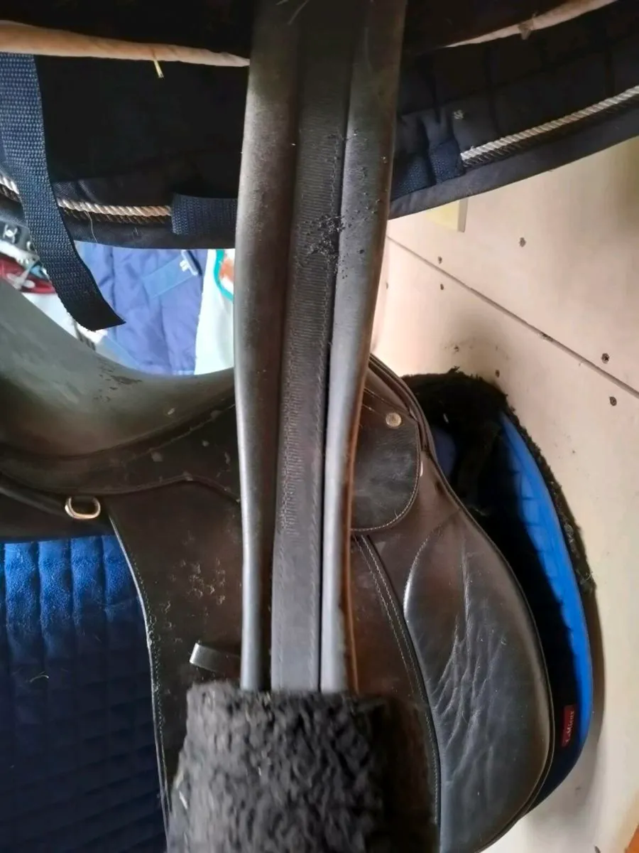 Saddle - Image 3
