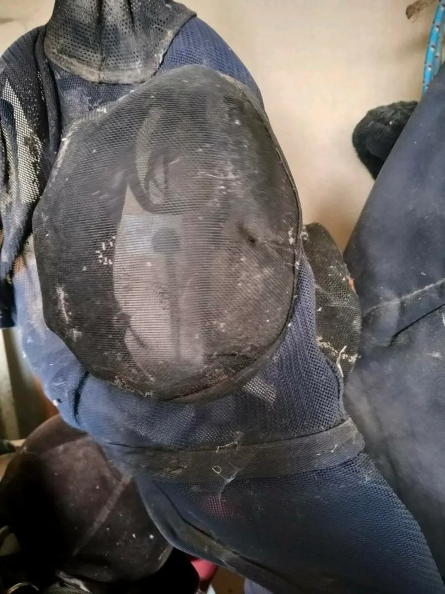 Saddle - Image 4