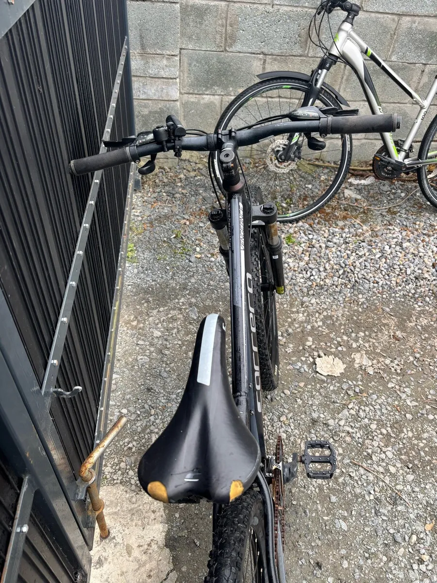 Men’s carrera bike - Image 2