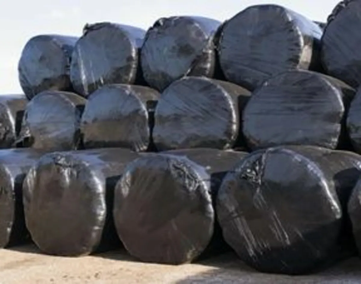 Round Bales of Hay & Silage - Image 2