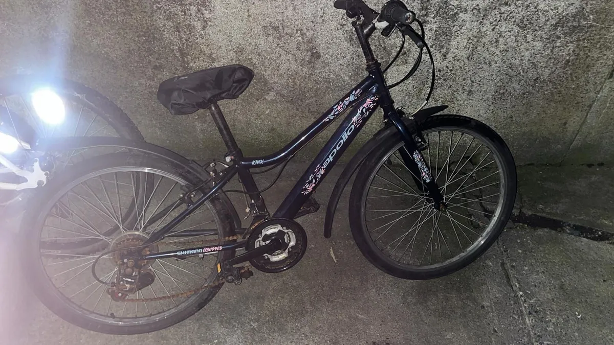 Bike - Image 1