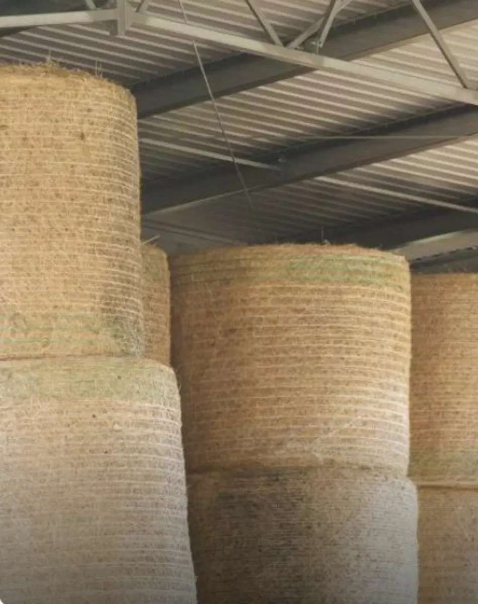 Round Bales of Hay & Silage - Image 3