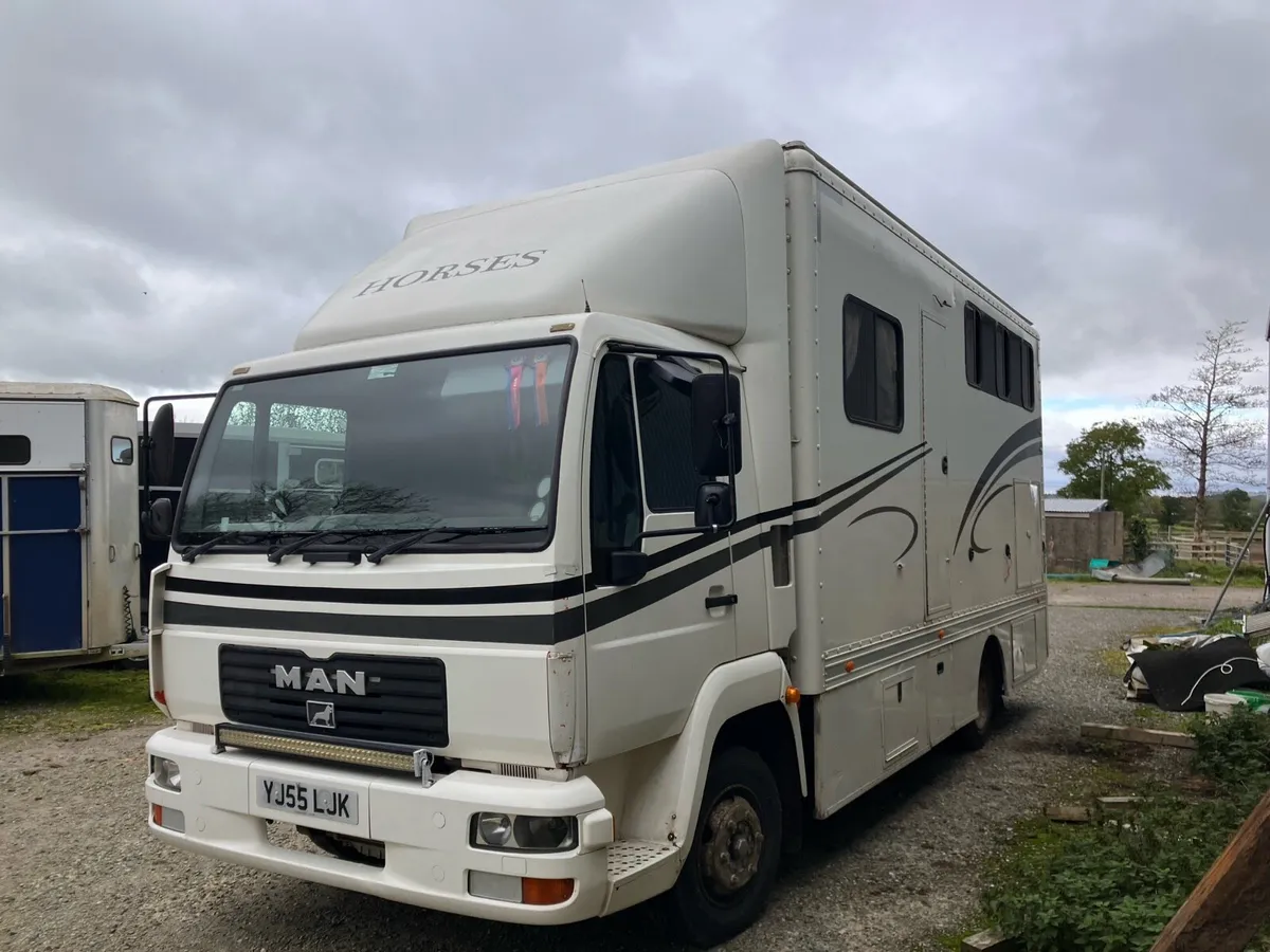 Horse Lorry MAN 7.5T 3 Horse - Image 2