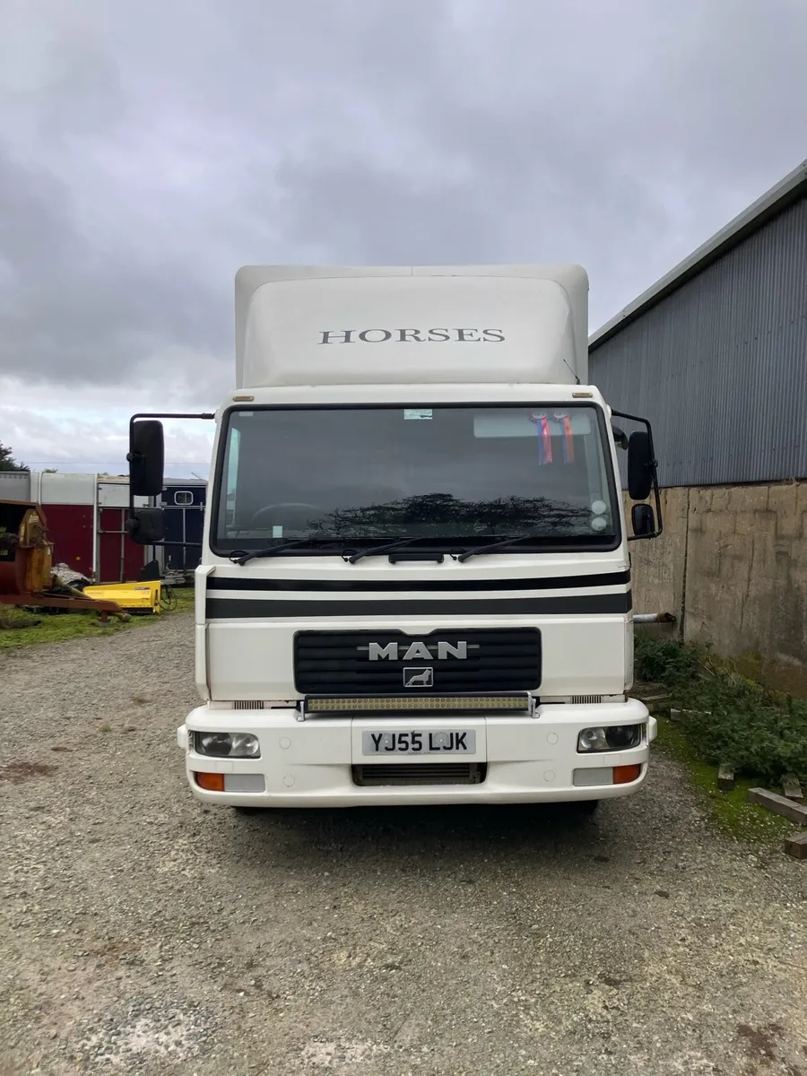 Horse Lorry MAN 7.5T 3 Horse - Image 3