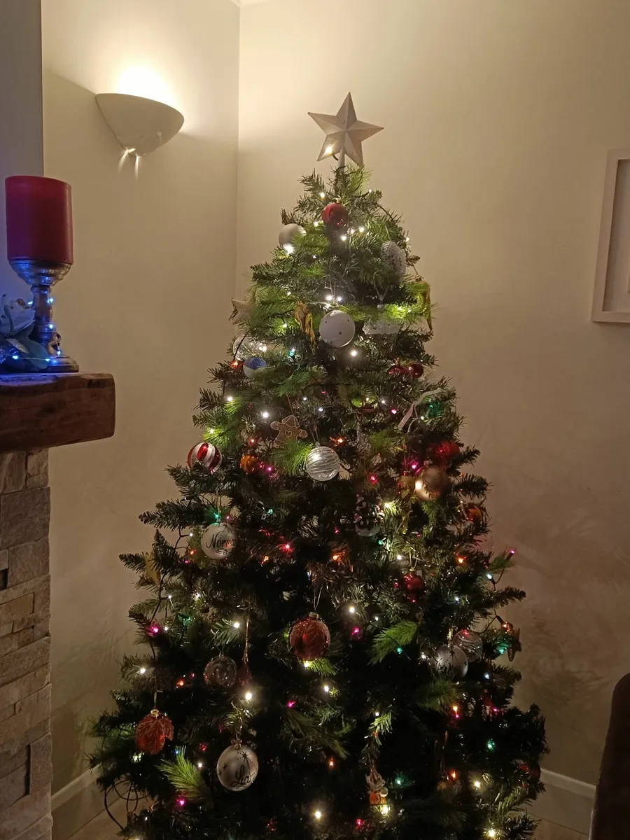 Christmas tree 6ft 6" - Image 4