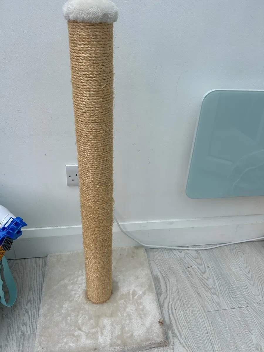 Tall Cat Scratch Post – Excellent Condition - Image 1