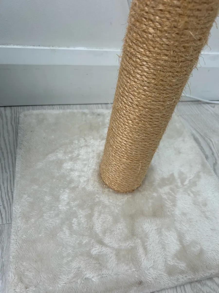 Tall Cat Scratch Post – Excellent Condition - Image 2