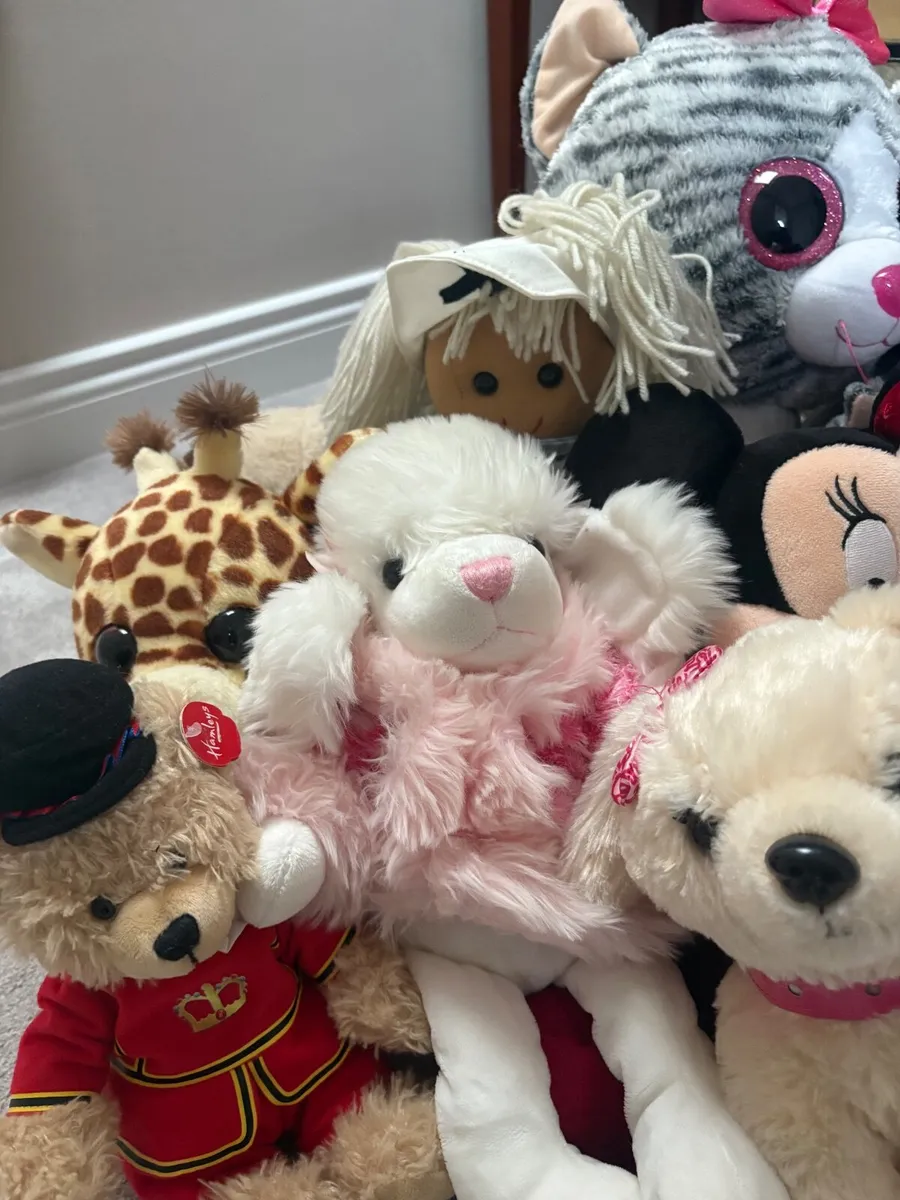 Children’s soft toys - Image 3