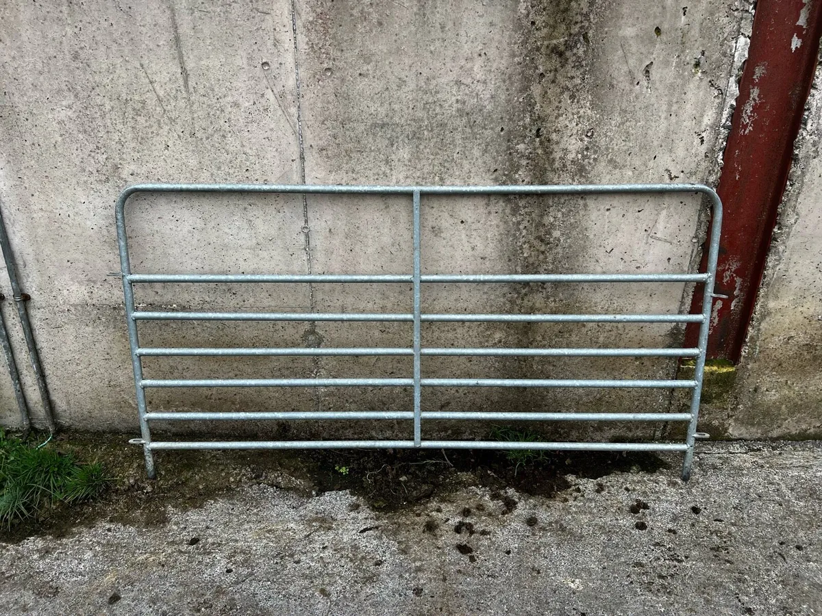 6FT Sheep Gates/Hurdles - Image 1
