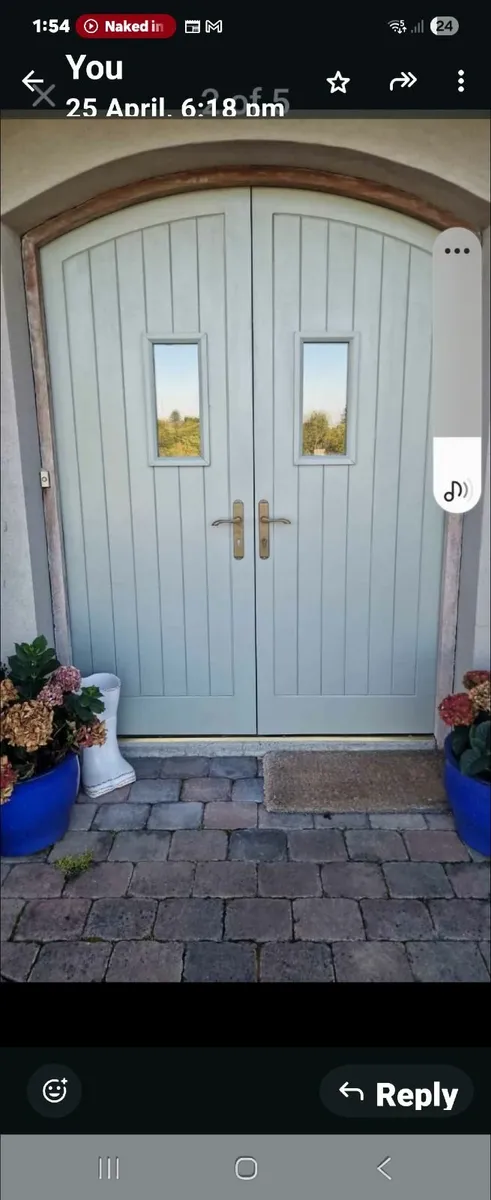 Front doors - Image 1