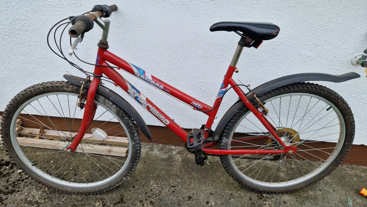 Girls Bicycle