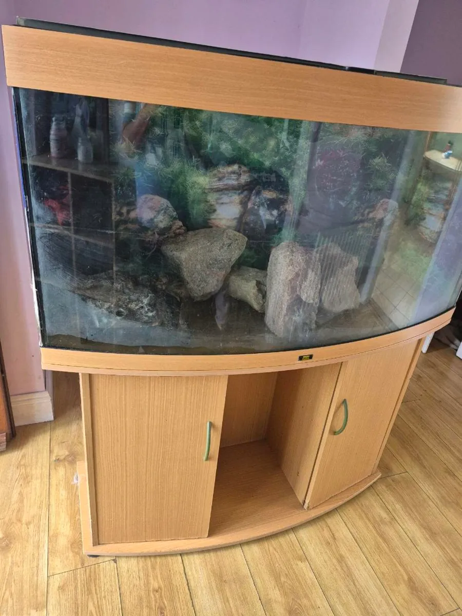 Fish tank 300litre - Image 1